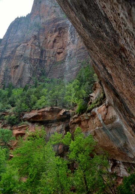 In the Kayenta-Emerald Pools Trail